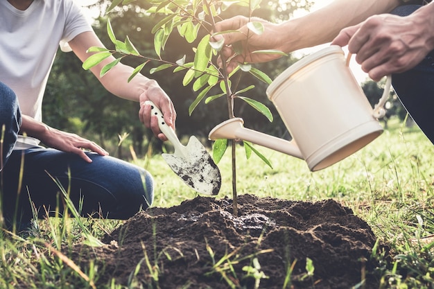 Jong paar die de boom planten