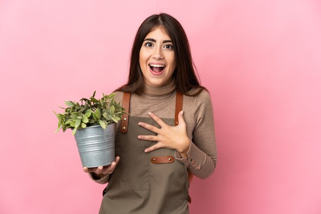 Jong tuinmanmeisje dat een installatie houdt die op roze muur wordt geïsoleerd verrast en geschokt terwijl naar rechts kijkt