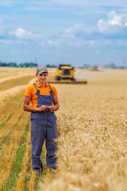 Jonge aantrekkelijke landbouwer die zich in tarweveld bevindt Maaidorser die in tarweveld op de achtergrond werkt