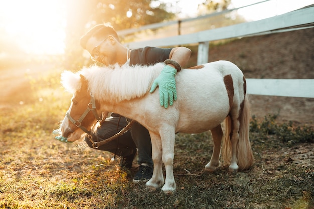 Jonge aantrekkelijke mannelijke dierenarts die schattig klein ponypaard onderzoekt en voedt.