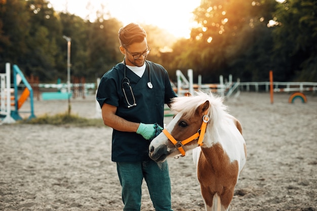 Jonge aantrekkelijke mannelijke dierenarts genieten van met schattig klein pony-paard.