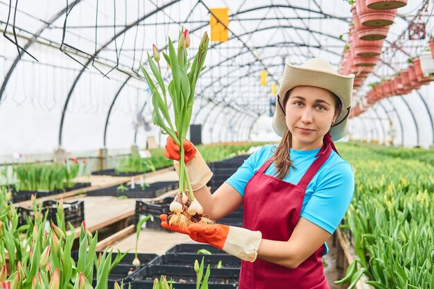 Jonge aantrekkelijke werkneemster plukt tulpen in kas