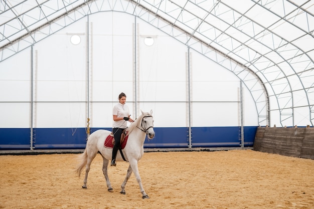 Jonge actieve vrouw zittend op de achterkant van een paard tijdens het verplaatsen van zanderige arena in manege