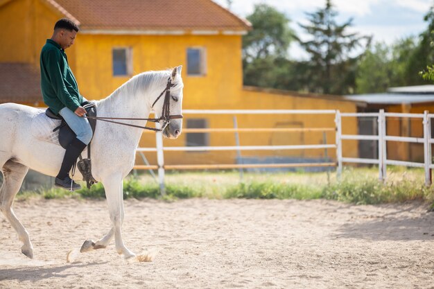 Jonge Afrikaanse Amerikaan in toevallige uitrusting die wit paard berijden op zandige grond op boerderij