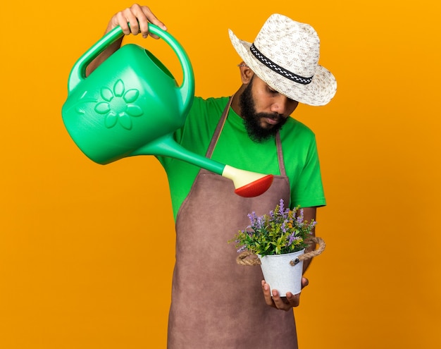 Jonge afro-amerikaanse tuinman met een tuinhoed die de bloem in een bloempot met een gieter water geeft