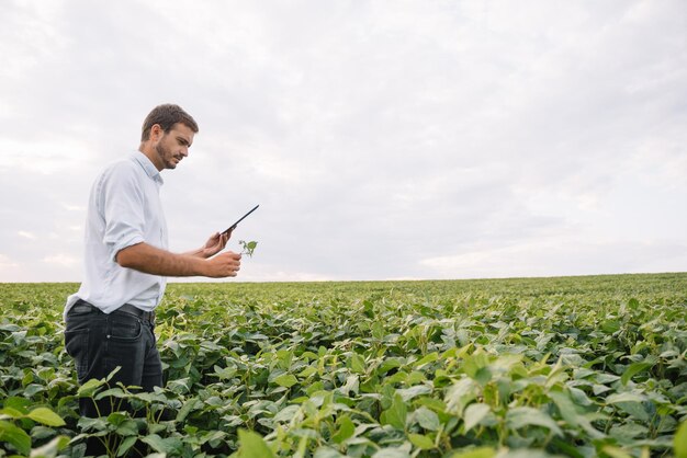 Jonge agronoom houdt tablet-touchpadcomputer in het sojaveld en onderzoekt gewassen voordat ze worden geoogst. Agribusiness-concept. landbouwingenieur die in de zomer in een sojaveld staat met een tablet