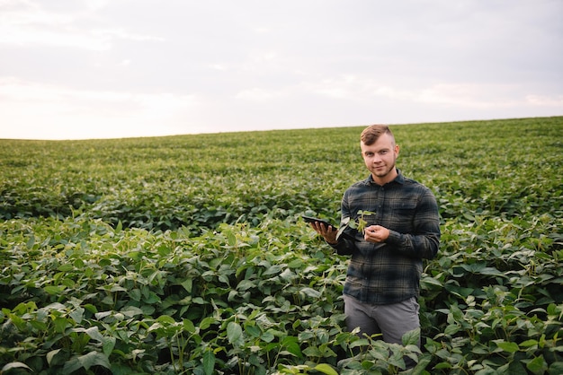 Jonge agronoom houdt tablet-touchpadcomputer in het sojaveld en onderzoekt gewassen voordat ze worden geoogst. Agribusiness-concept. landbouwingenieur die in de zomer in een sojaveld staat met een tablet