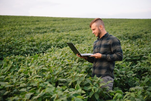 Jonge agronoom houdt tablet-touchpadcomputer in het sojaveld en onderzoekt gewassen voordat ze worden geoogst. agribusiness-concept. landbouwingenieur die in de zomer in een sojaveld staat met een tablet