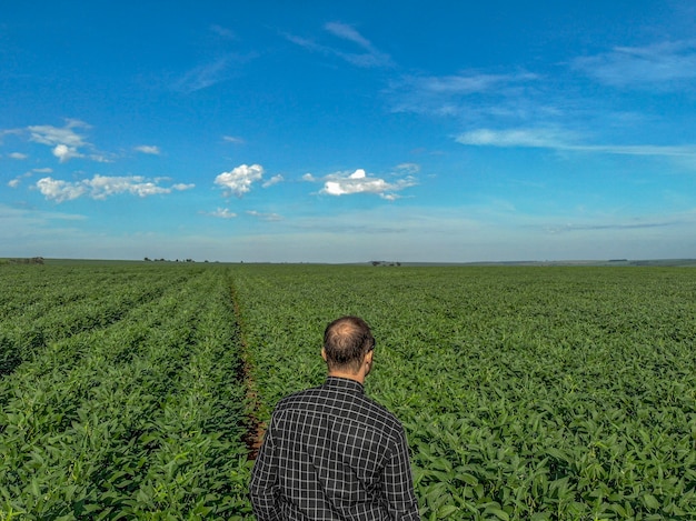 Jonge agronoom op het gebied van soja