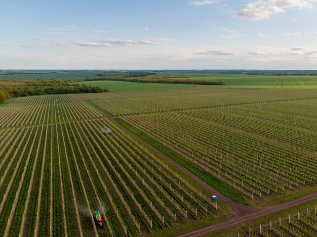 Jonge appelboomgaard lente bloeiende luchtfoto