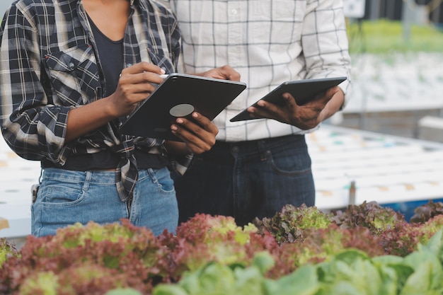 Jonge Aziatische vrouw en senior man boer werken samen in biologische hydrocultuur salade groente boerderij Moderne moestuin eigenaar met behulp van digitale tablet inspecteren kwaliteit van sla in kas tuin