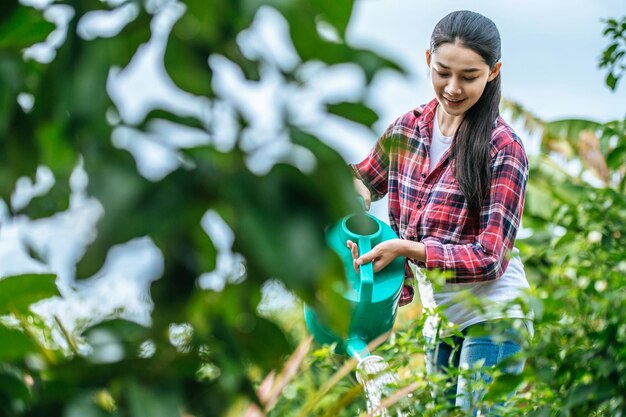 Jonge Aziatische vrouwelijke boer waterplant in het groene veld Moderne technologieën in landbouwbeheer en agribusinessconcept