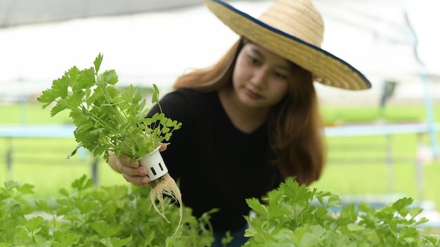 Jonge aziatische vrouwelijke boeren inspecteren hydrocultuur moestuinen in kas, biologische groenten, slimme boerderij.