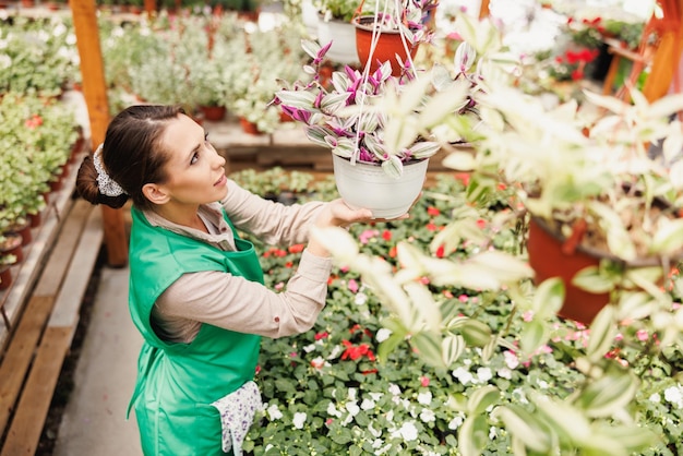 Jonge bloemistenvrouw die bloempotten controleert en schikt in een tuincentrum of serre. Vrouwelijke ondernemer.