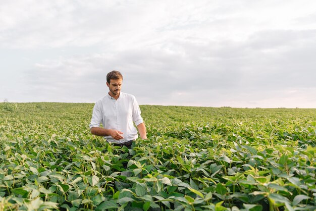 Jonge boer in dossier die sojabonen onderzoekt. Hij is duim omhoog.