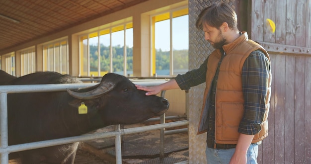 Jonge boer in shirt en in oranje vest die koeien aait op de boerderij Boerderijeigenaar die voor koeien zorgt Melkproductie professioneel concept