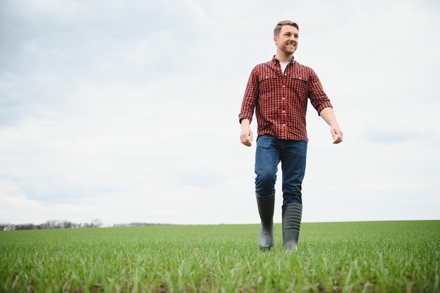 Jonge boer staat in het groene veld te controleren en te wachten tot de oogst groeit