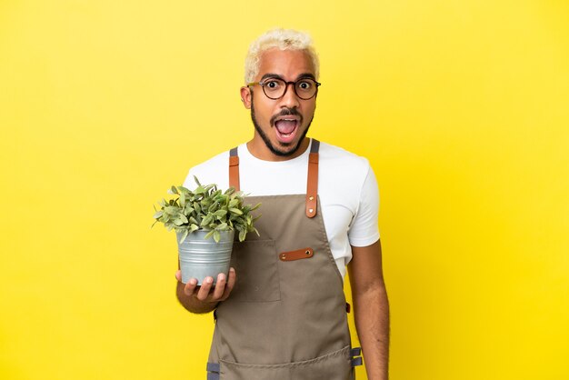 Jonge colombiaanse man met een plant geïsoleerd op een gele achtergrond met verrassende gezichtsuitdrukking