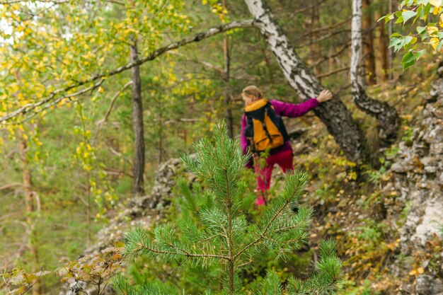 Jonge dennenboom in een bergbos op de achtergrond in de vervaging is een vrouw bezig met trekking