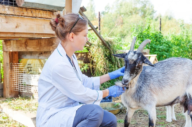 Jonge dierenarts vrouw met stethoscoop houden en onderzoeken geit op ranch achtergrond Jonge geit met dierenarts handen voor check-up in natuurlijke eco boerderij Dierlijke zorg vee ecologische landbouw concept