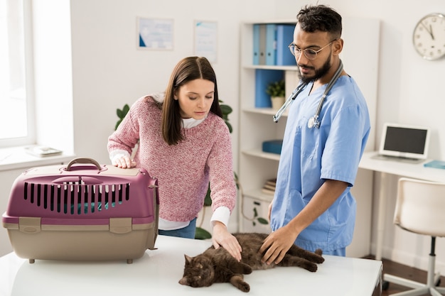 Jonge eigenaar van huisdier en professionele veterinaire arts wat betreft kat op medische lijst alvorens het dier te onderzoeken