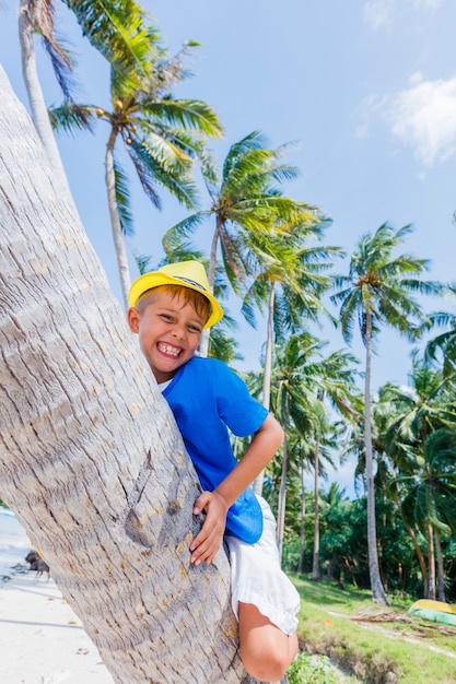 Jonge gelukkige jongen zit op een palmboom in een tropisch strand