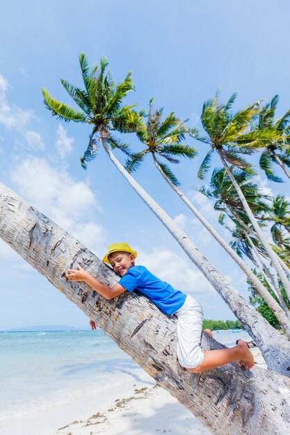 Jonge gelukkige jongen zit op een palmboom in een tropisch strand