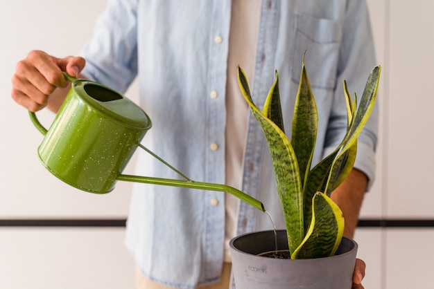 Jonge gemengd ras man met een plant in een keuken