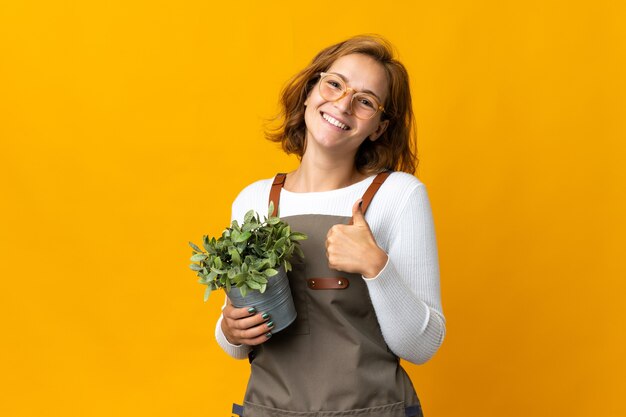 Jonge Georgische vrouw die een plant houdt die op gele achtergrond wordt geïsoleerd die een duim omhoog gebaar geeft