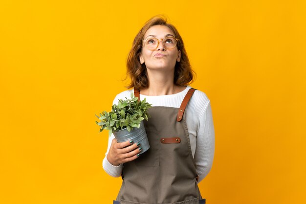 Jonge Georgische vrouw die een plant houdt die op gele muur wordt geïsoleerd en omhoog kijkt