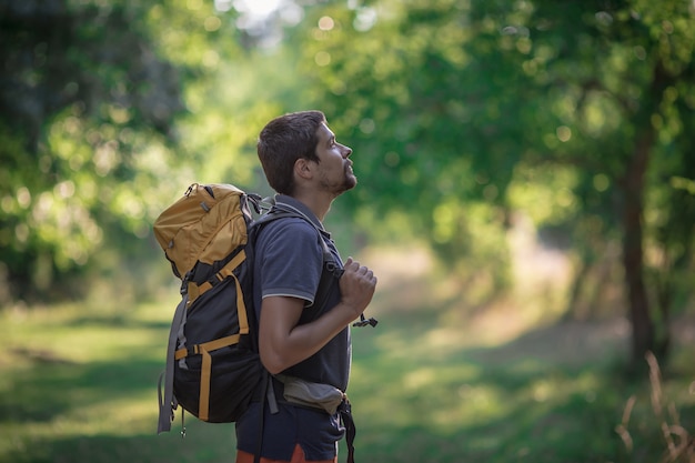 Jonge glimlachende rugzakmens in de zomer bosaard. Gelukkige knappe mannelijke volwassen student die camera lopen bekijken die op bosachtergrond wandelen. Schooltas of backpacken reisconcept.