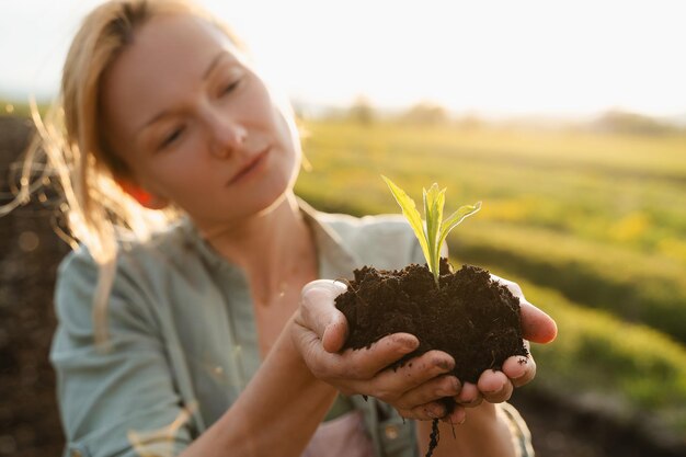 Jonge groene plant in handen op de achtergrond van een landbouwveld Concept van duurzaamheid