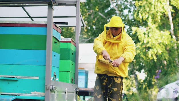 Jonge imker man schoon houten honing frame werken in de bijenstal op zomerdag