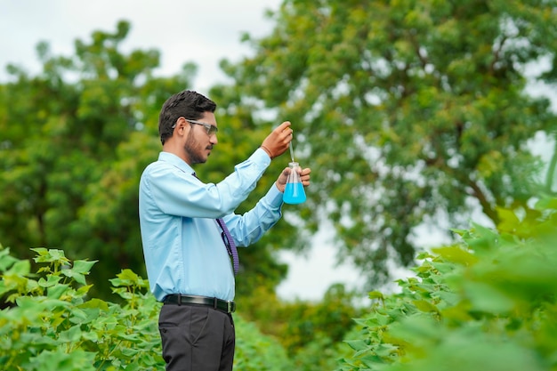 Jonge Indiase agronoom die monster verzamelt op landbouwgebied.