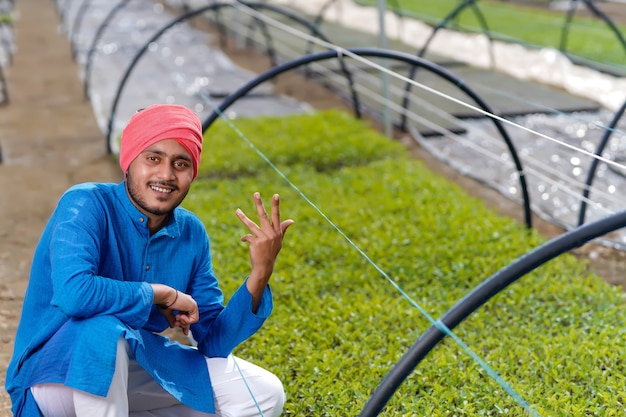 Jonge Indiase boer bij kas of polyhuis