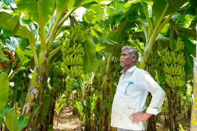 Jonge Indiase boer op het gebied van de bananenlandbouw.