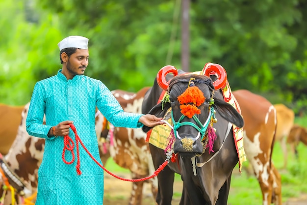 Jonge indiase boer pola festival vieren