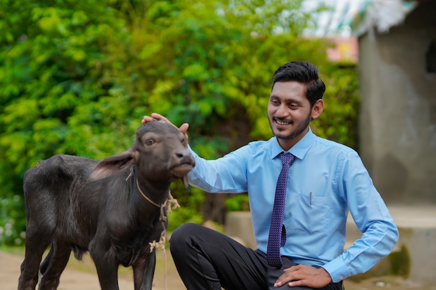 Jonge Indiase veehouderij of bankier met kalf