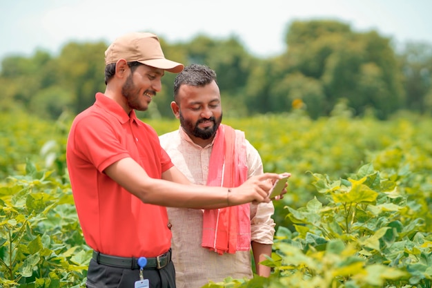 Jonge indische agronoom of bankier die wat informatie toont aan boer in smartphone op landbouwveld.