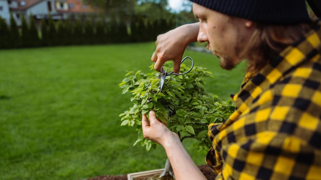 Jonge intelligentieman die van tuinieren houdt en een klein struikje buiten in de tuin snijdt als een