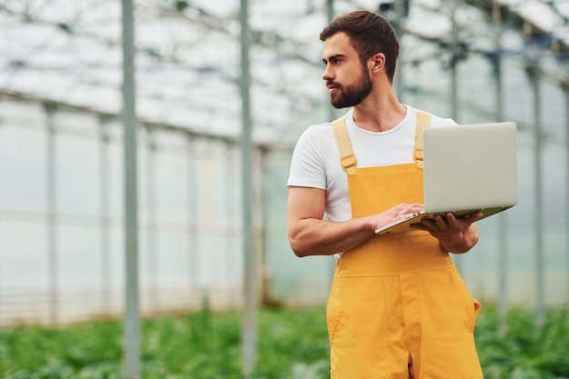 Jonge kasarbeider in geel uniform met laptop in handen heeft een baan in de kas