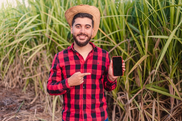 Jonge landarbeider-agronoom die landbouw-apps op mobiele telefoons laat scannen met suikerrietplantage op de achtergrond