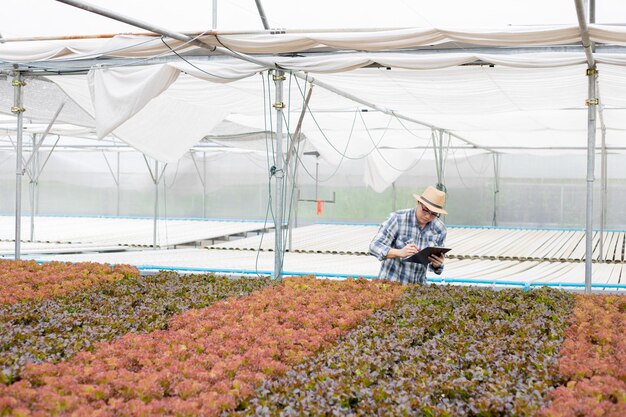 Jonge landbouwers onderzoeken en registreren de kwaliteitsrapporten van biologische groenten op de boerderij. Groenten op de boerderij streng controleren.