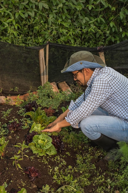 Jonge latijns-boer die gehurkt de tuingrond schoonmaakt, omringd door groene groenten