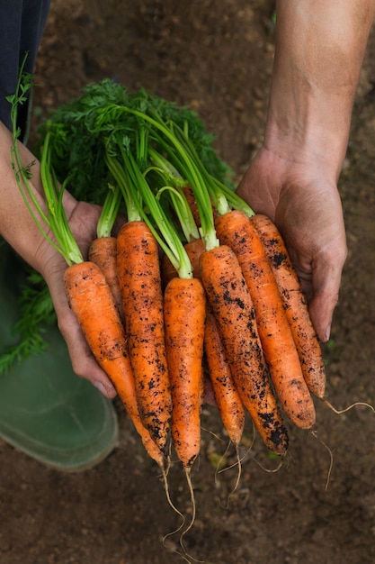 Jonge man boer werknemer hand in hand inlandse oogst van verse oranje wortelen Privé tuin boomgaard natuurlijke economie hobby en vrije tijd concept