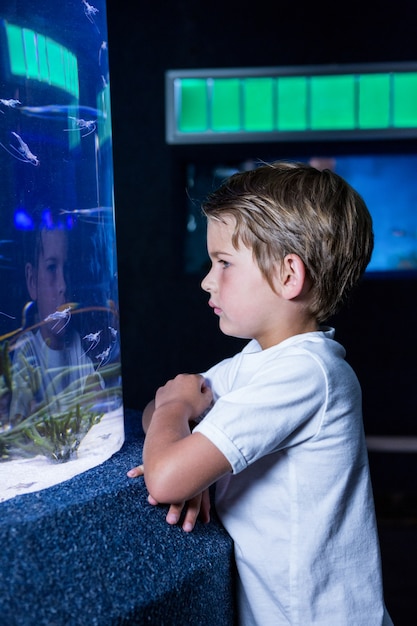 jonge man kijkt naar vis in de tank