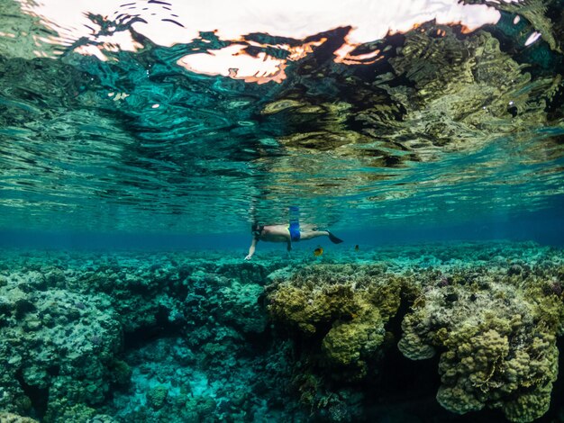 Jonge man snorkelen bij koraalrif in tropische zee