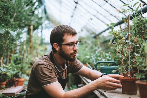 Jonge man tuinman zorg voor planten in kas