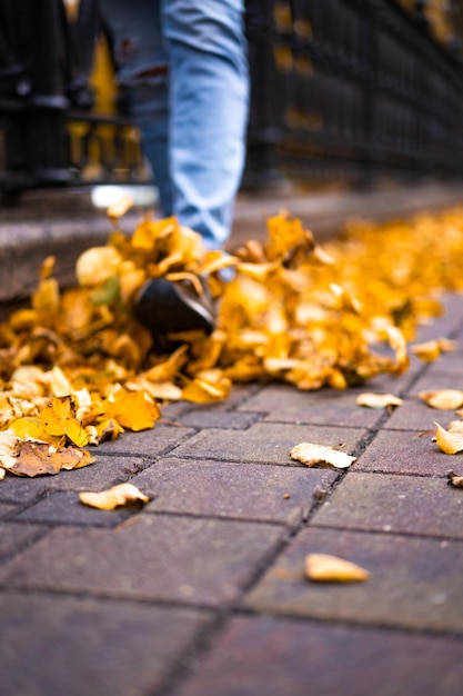 Jonge man wandelen in de herfststad met een glas koffie