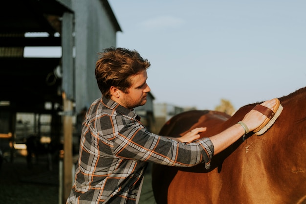 Jonge man zijn paard verzorgen